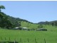 Ellenborough NSW 2446
