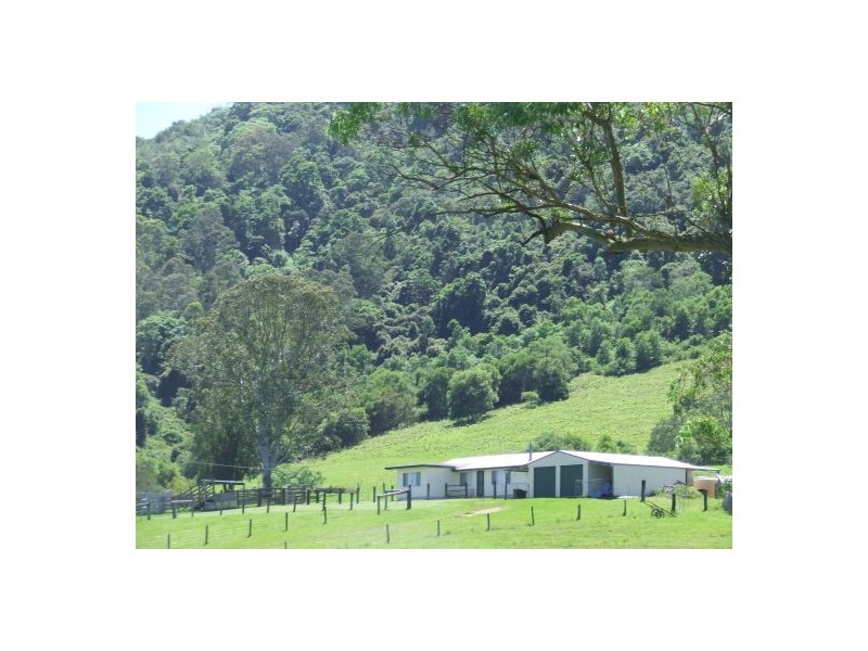 Ellenborough NSW 2446