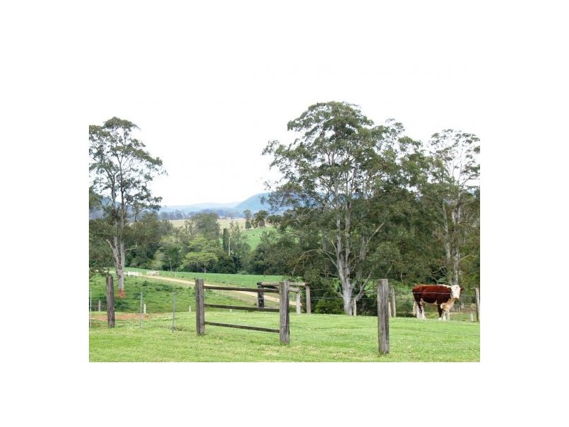 Ellenborough NSW 2446