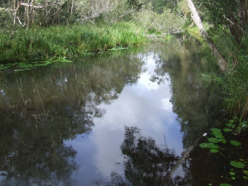 Kundabung NSW 2441