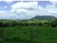 Comboyne NSW 2429