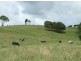 Comboyne NSW 2429