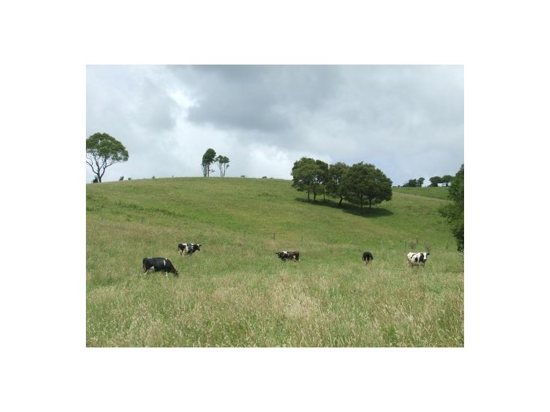 Comboyne NSW 2429