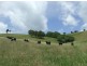 Comboyne NSW 2429