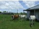 Comboyne NSW 2429