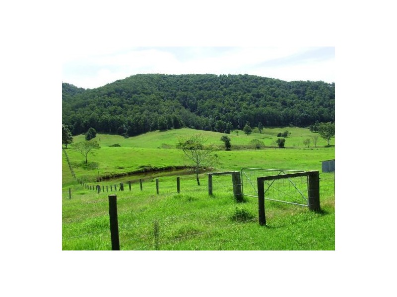 Rollands Plains NSW 2441