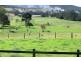 Rollands Plains NSW 2441
