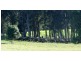 Rollands Plains NSW 2441