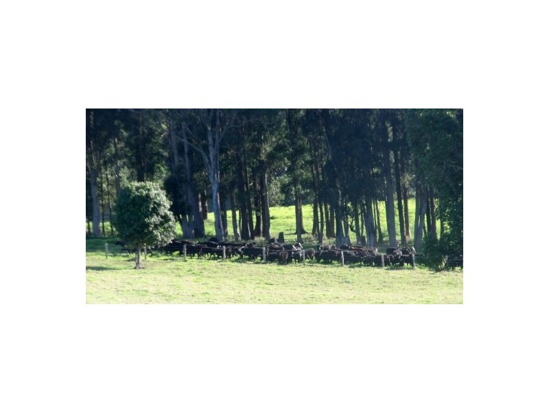 Rollands Plains NSW 2441