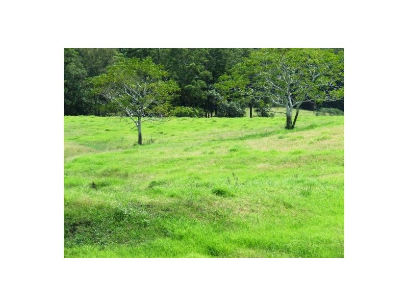 Rollands Plains NSW 2441