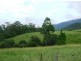 Pipeclay NSW 2446