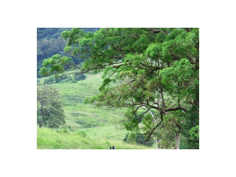 Pipeclay NSW 2446