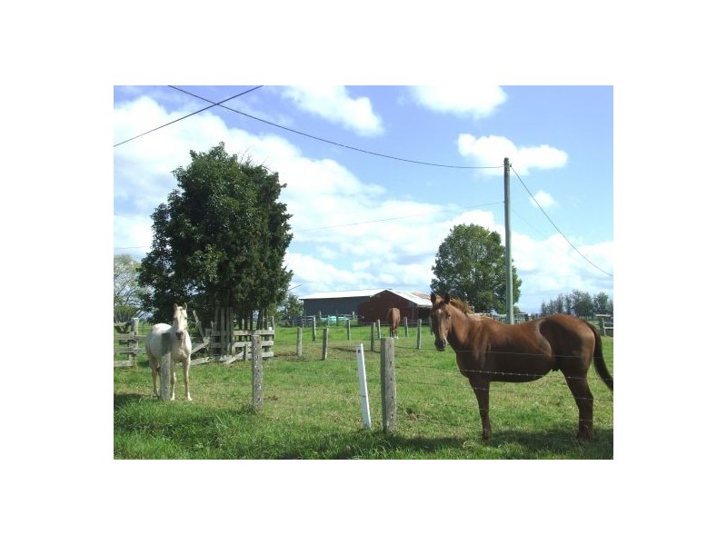 Austral Eden NSW 2440