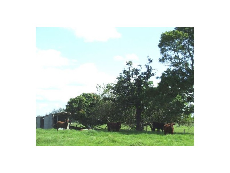 Austral Eden NSW 2440