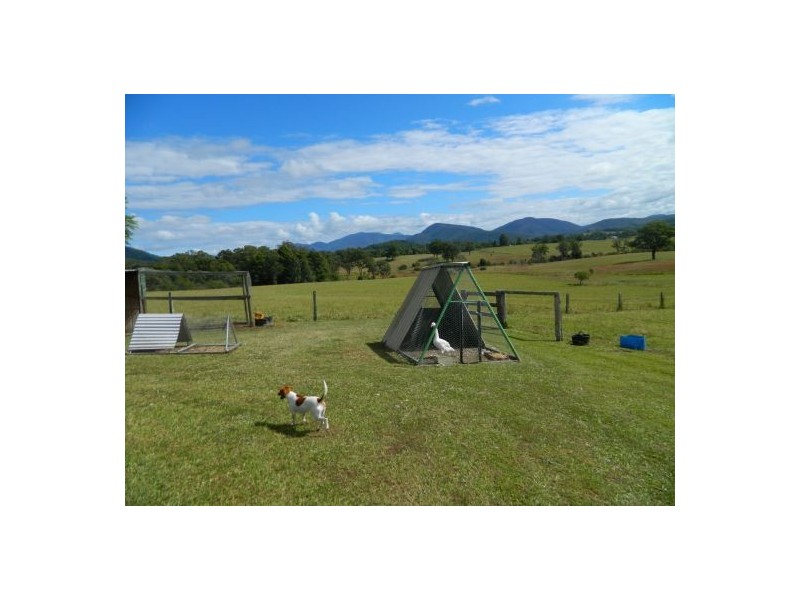 Rollands Plains NSW 2441