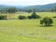 Rollands Plains NSW 2441