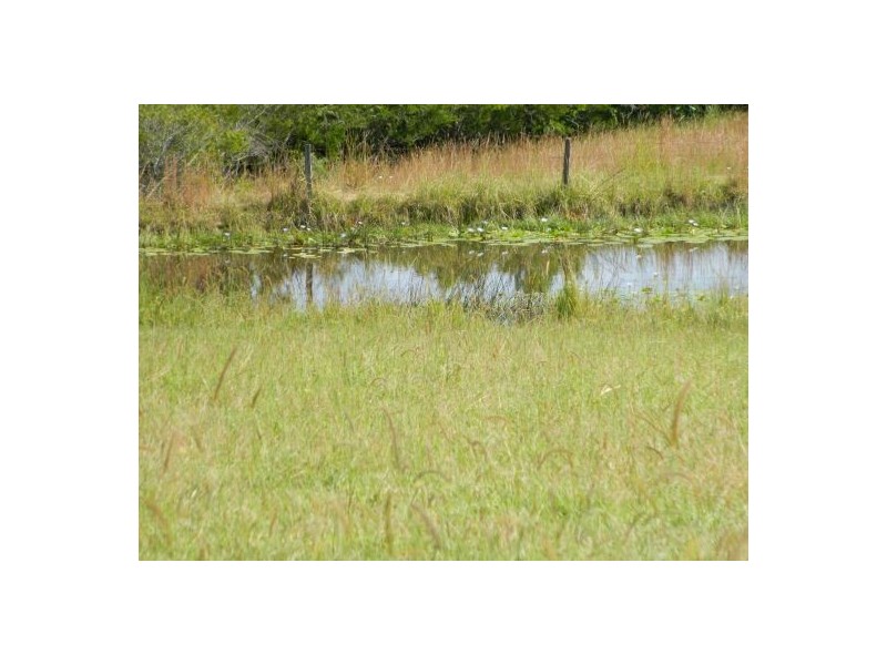 Rollands Plains NSW 2441