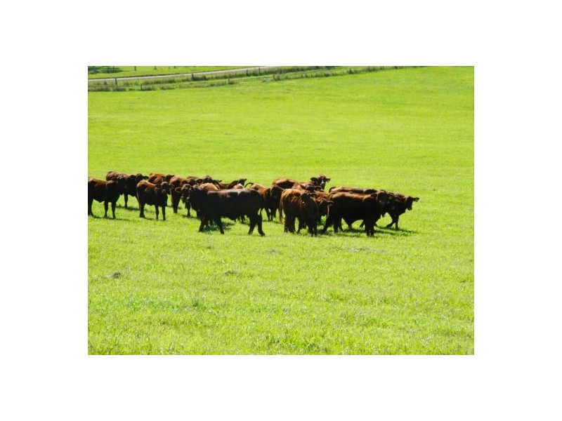 Wauchope NSW 2446