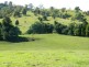 Wauchope NSW 2446
