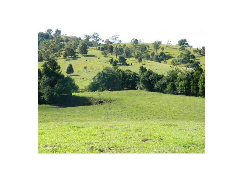 Wauchope NSW 2446