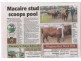 Wauchope NSW 2446