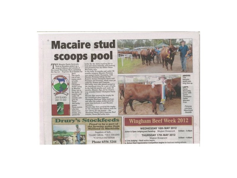 Wauchope NSW 2446
