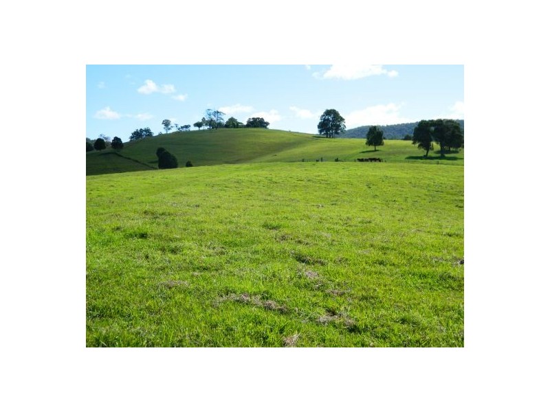 Wauchope NSW 2446