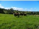 Wauchope NSW 2446