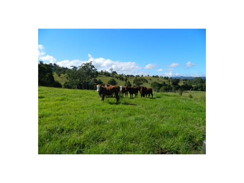 Wauchope NSW 2446