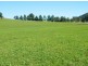 Wauchope NSW 2446