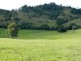 Wauchope NSW 2446