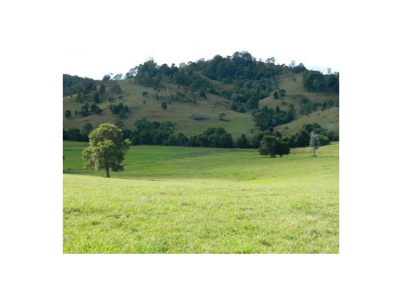 Wauchope NSW 2446