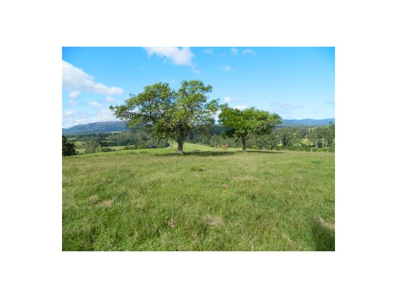 Wauchope NSW 2446