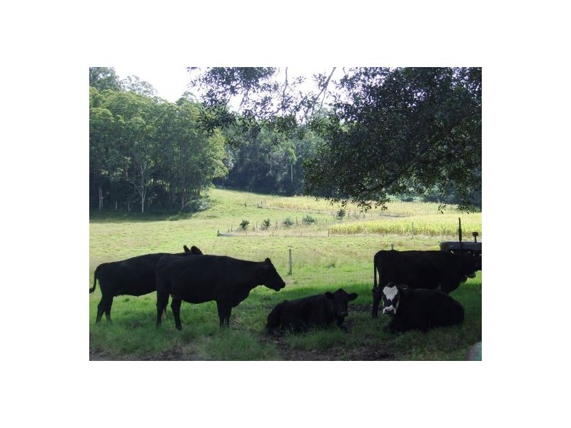 Collombatti NSW 2440