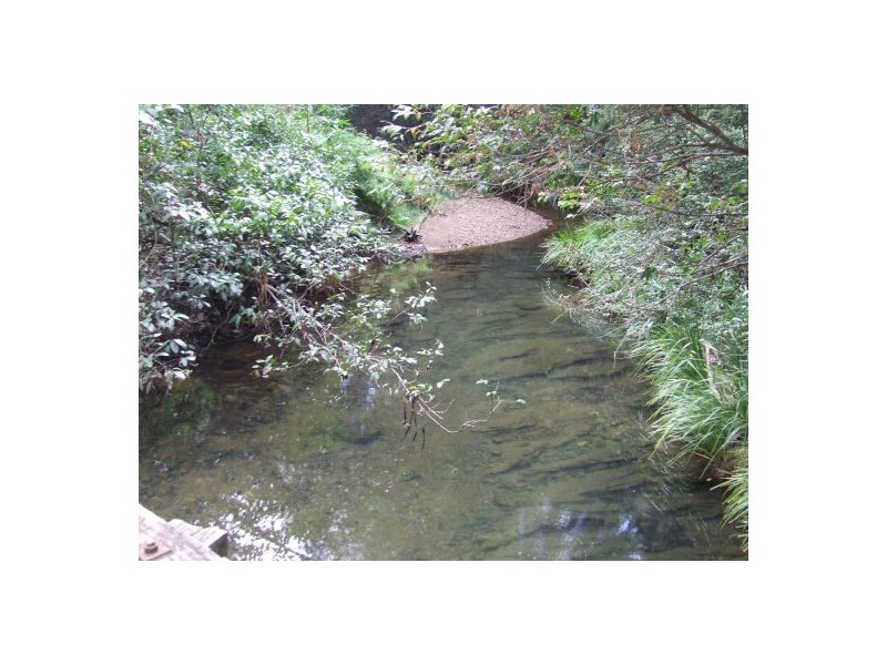 Collombatti NSW 2440