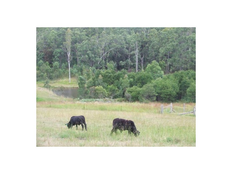 Collombatti NSW 2440