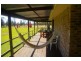 Telegraph Point NSW 2441