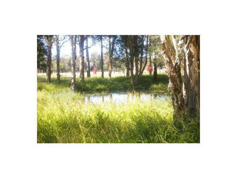 Telegraph Point NSW 2441