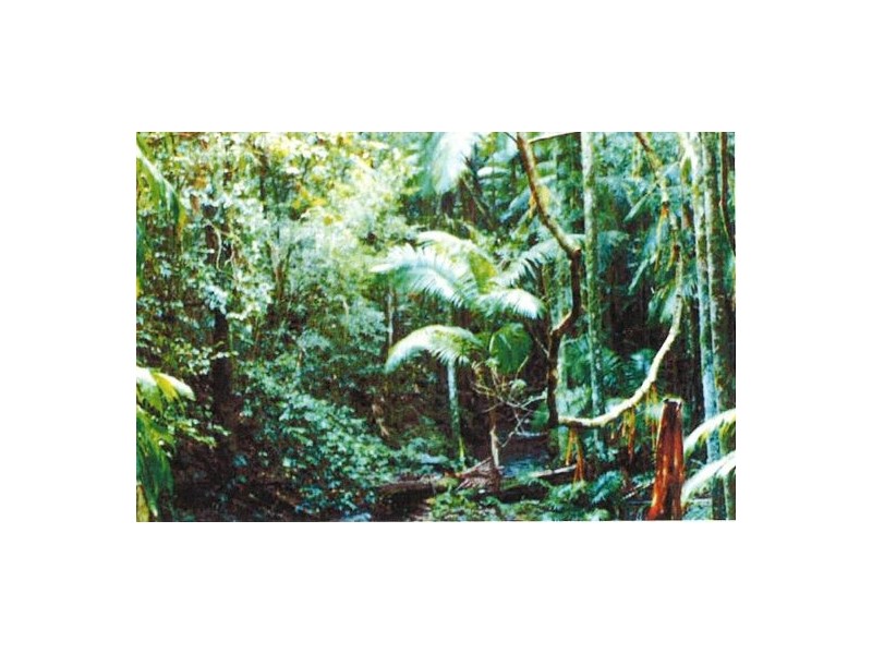 Telegraph Point NSW 2441