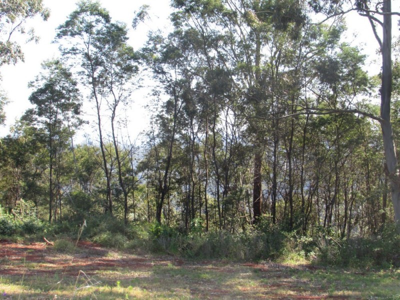 Telegraph Point NSW 2441