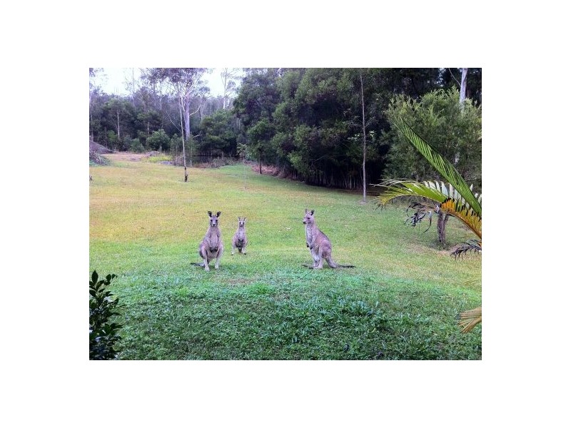 Port Macquarie NSW 2444