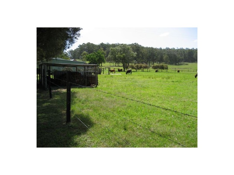 Telegraph Point NSW 2441