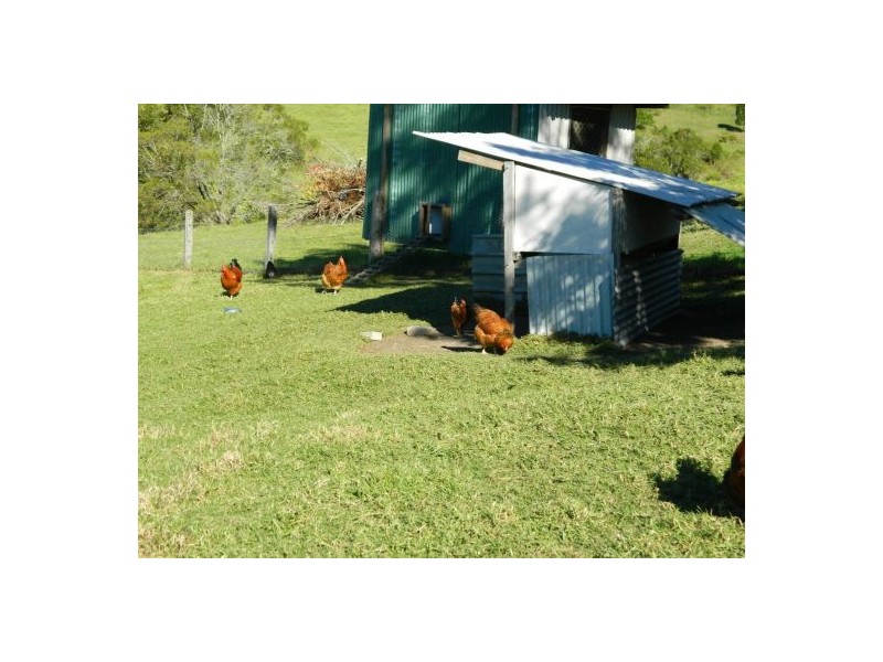 Pappinbarra NSW 2446