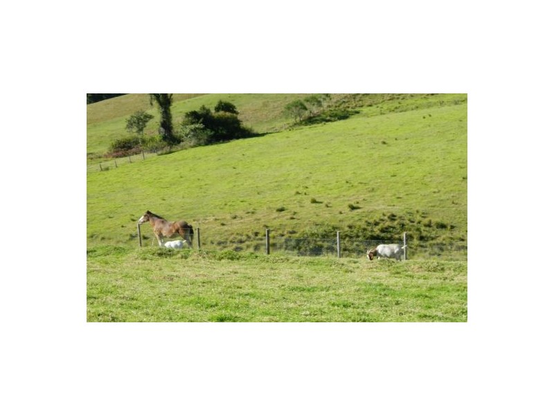 Pappinbarra NSW 2446