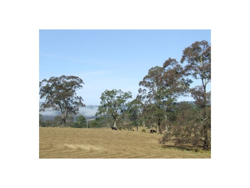 Byabarra NSW 2446