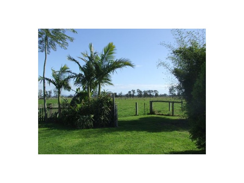 Belmore River NSW 2440