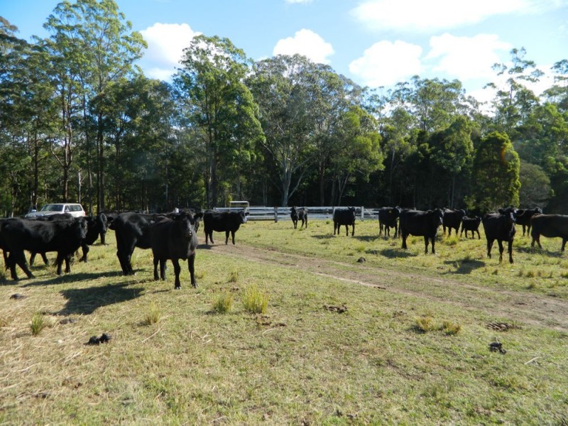 Rollands Plains NSW 2441