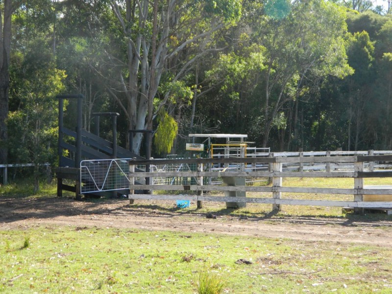 Rollands Plains NSW 2441