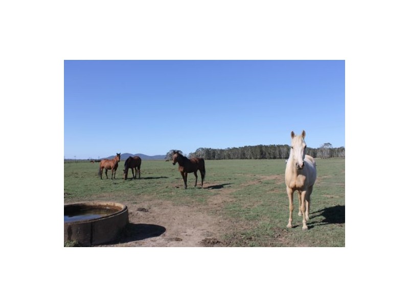 Verges Creek NSW 2440