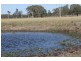 Verges Creek NSW 2440